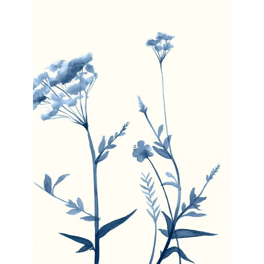 Indigo Wildflowers I Poster Print - Jennifer Goldberger-VARPDX136685Z Image 1