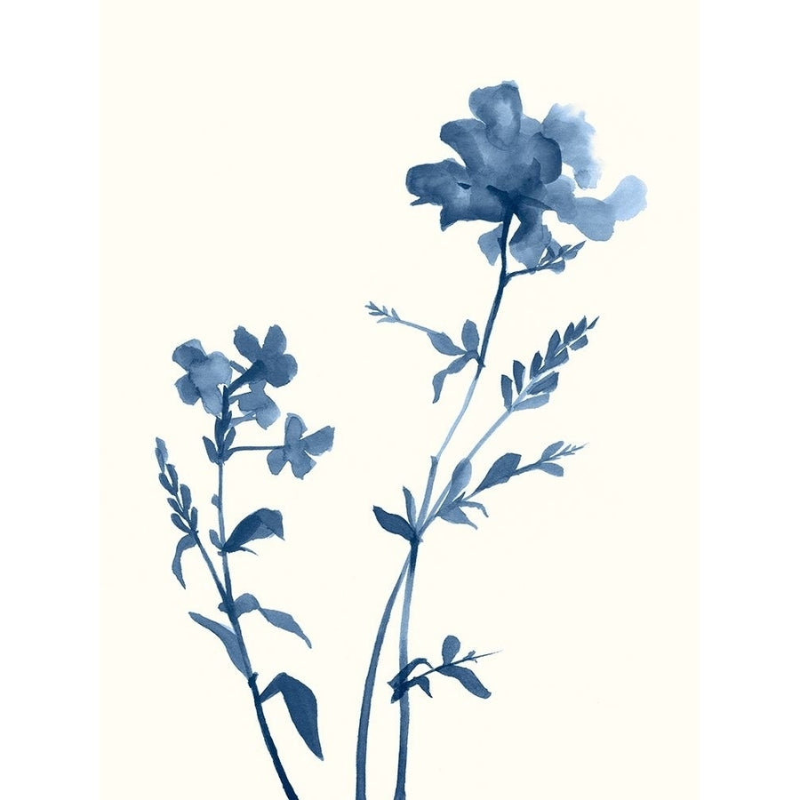 Indigo Wildflowers VI Poster Print - Jennifer Goldberger-VARPDX136690Z Image 1