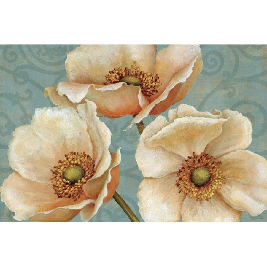 Windflower Poster Print by Daphne Brissonnet-VARPDX1367 Image 1