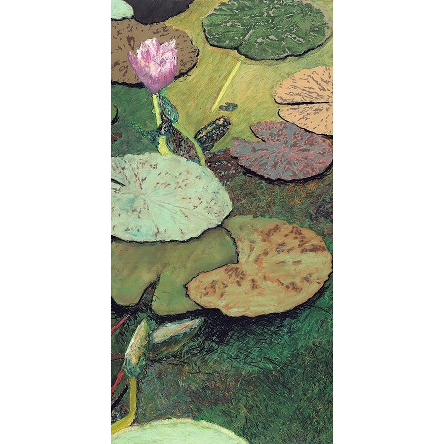 Emerald Pond Poster Print - Allan Friedlander-VARPDX136791FN Image 1