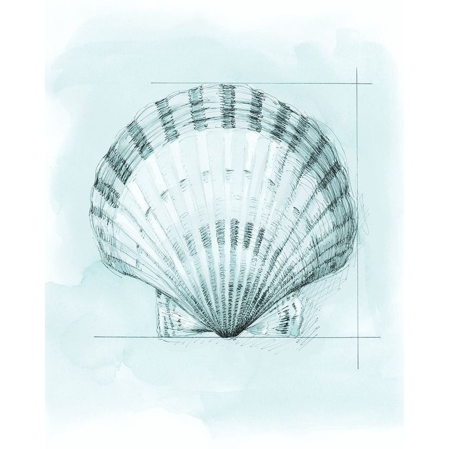 Coastal Shell Schematic III Poster Print - Megan Meagher-VARPDX136936Z Image 1