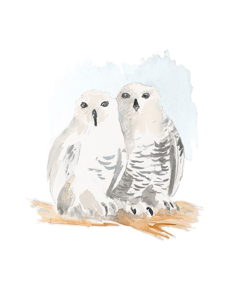 Snowy Owls by Lanie Loreth-VARPDX13718JB Image 1