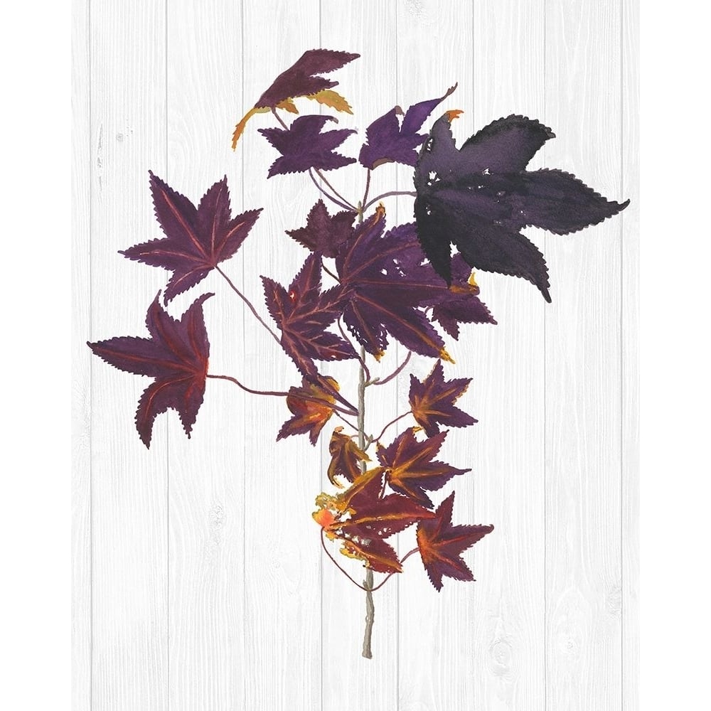 Sweet Foliage II Poster Print - Dianne Miller-VARPDX137348GG Image 1