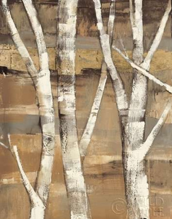 Wandering Through the Birches I Poster Print by Albena Hristova-VARPDX13751 Image 1