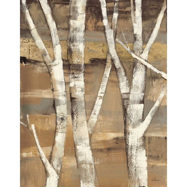 Wandering Through the Birches I Poster Print by Albena Hristova-VARPDX13751 Image 2