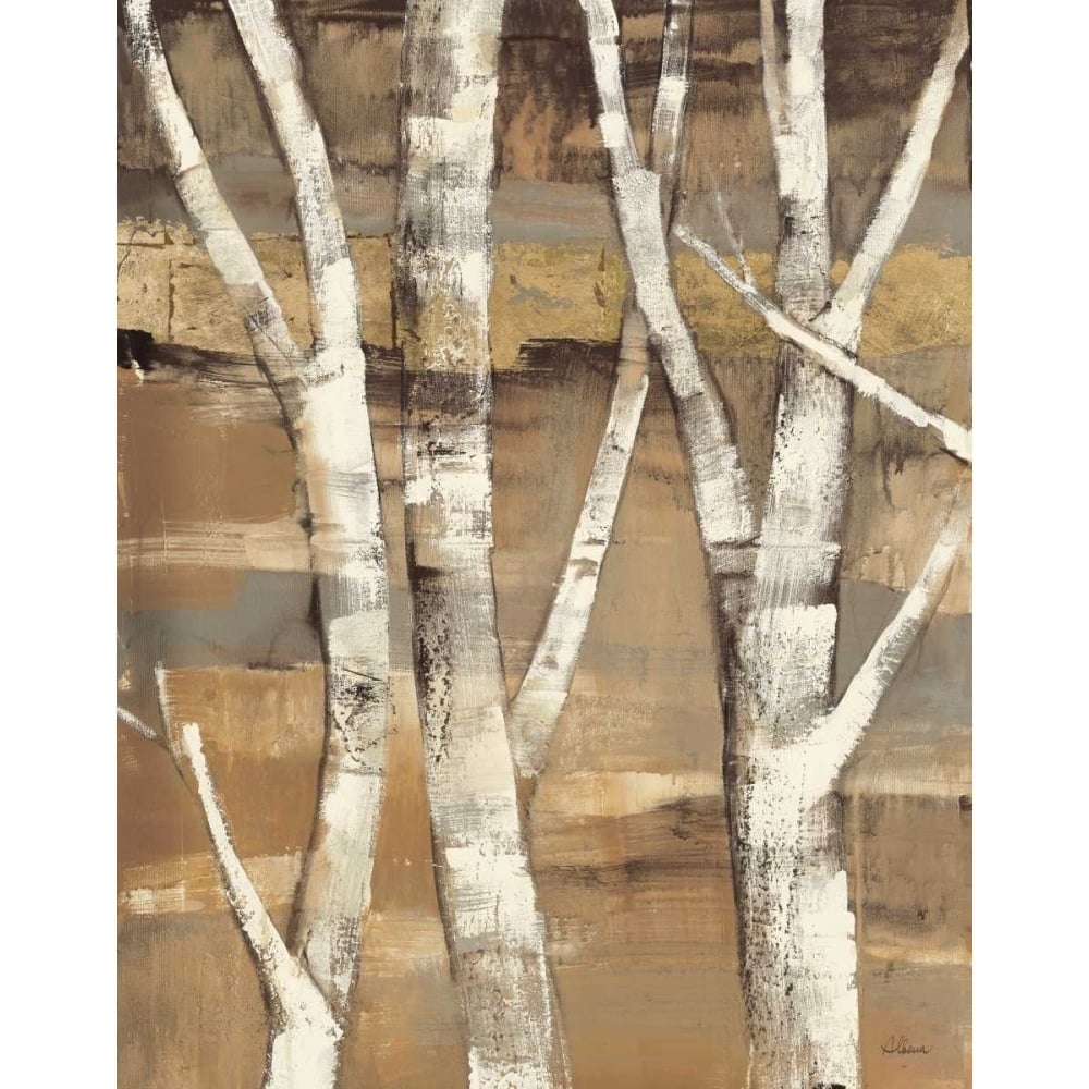 Wandering Through the Birches I Poster Print by Albena Hristova-VARPDX13751 Image 1