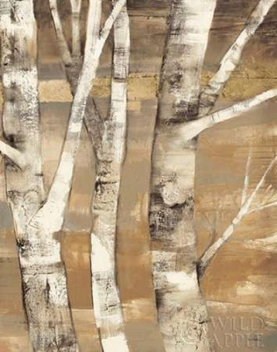 Wandering Through the Birches II Poster Print by Albena Hristova-VARPDX13752 Image 1