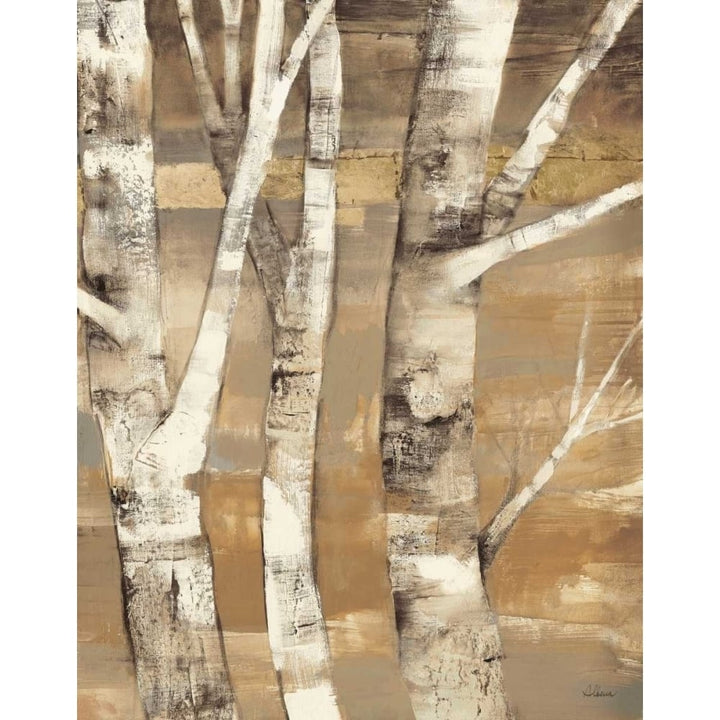 Wandering Through the Birches II Poster Print by Albena Hristova-VARPDX13752 Image 2