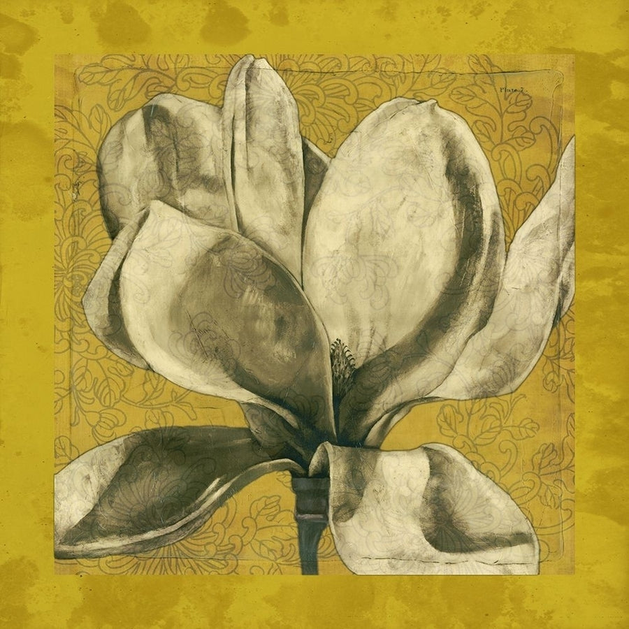 Ecru Magnolia I Poster Print - Jennifer Goldberger-VARPDX13782VME Image 1