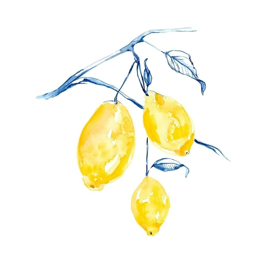 Watercolor Lemons I Poster Print - Jennifer Goldberger-VARPDX137917GG Image 1