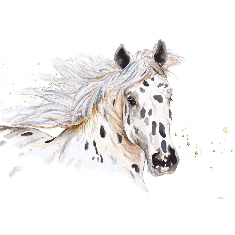 Appaloosa Poster Print by Patricia Pinto-VARPDX13800 Image 1