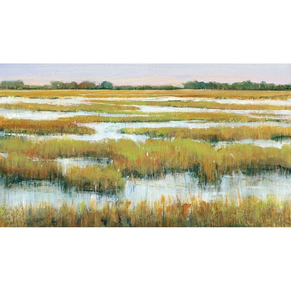 Serene Marshland II Poster Print - Tim OToole-VARPDX138019FN Image 1