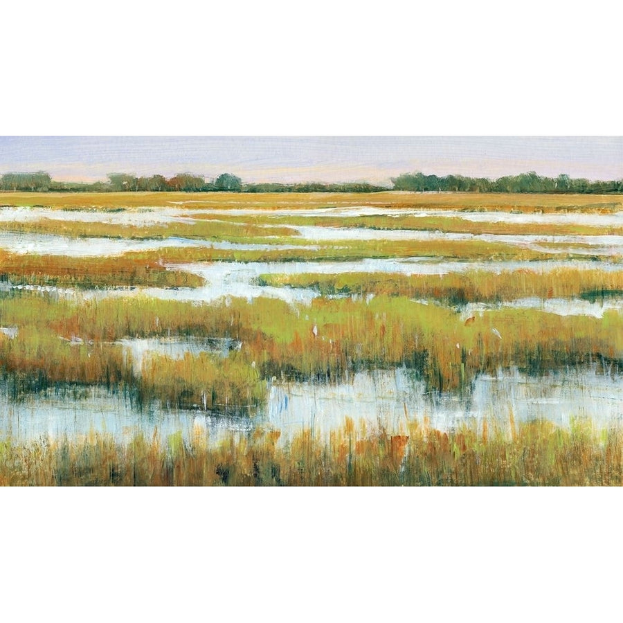 Serene Marshland II Poster Print - Tim OToole-VARPDX138019Z Image 1