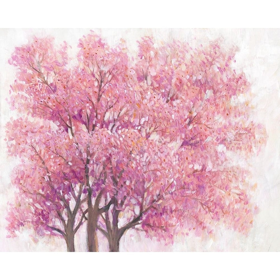 Pink Cherry Blossom Tree I Poster Print - Tim OToole-VARPDX138230GG Image 1