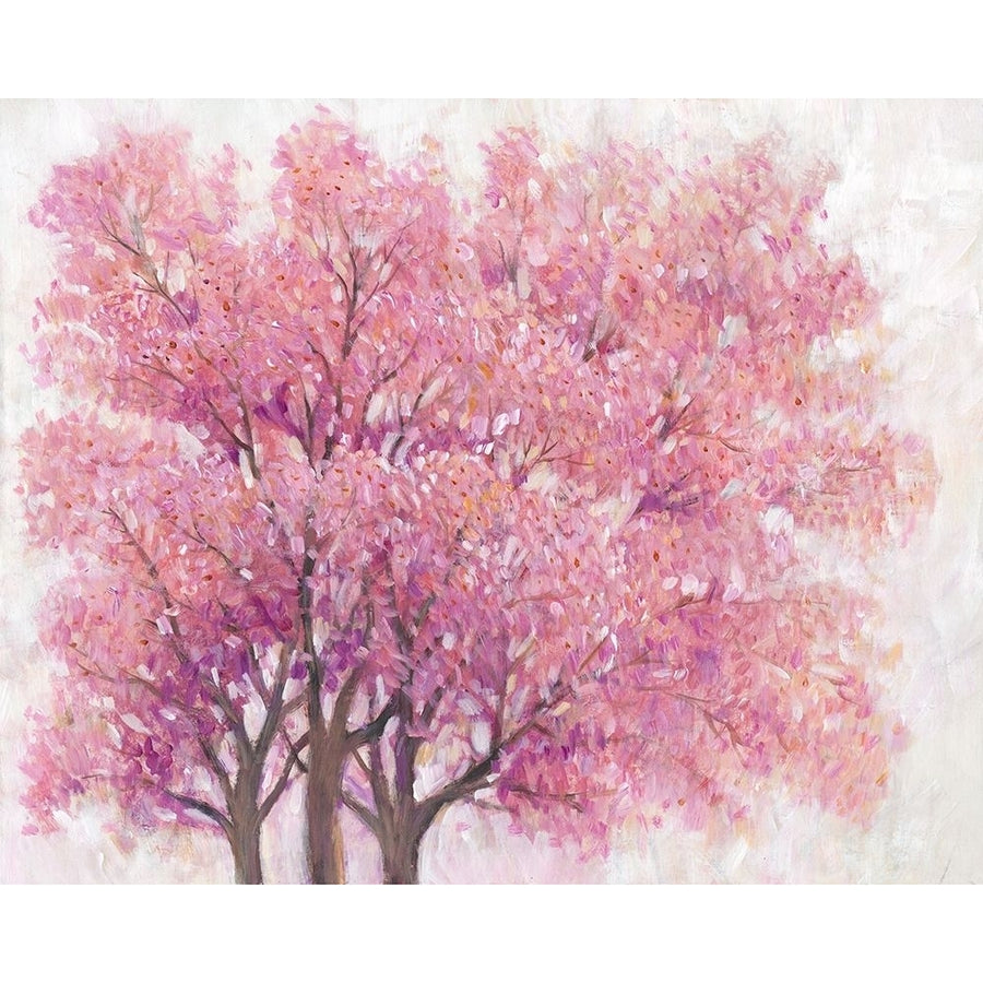 Pink Cherry Blossom Tree I Poster Print - Tim OToole-VARPDX138230Z Image 1