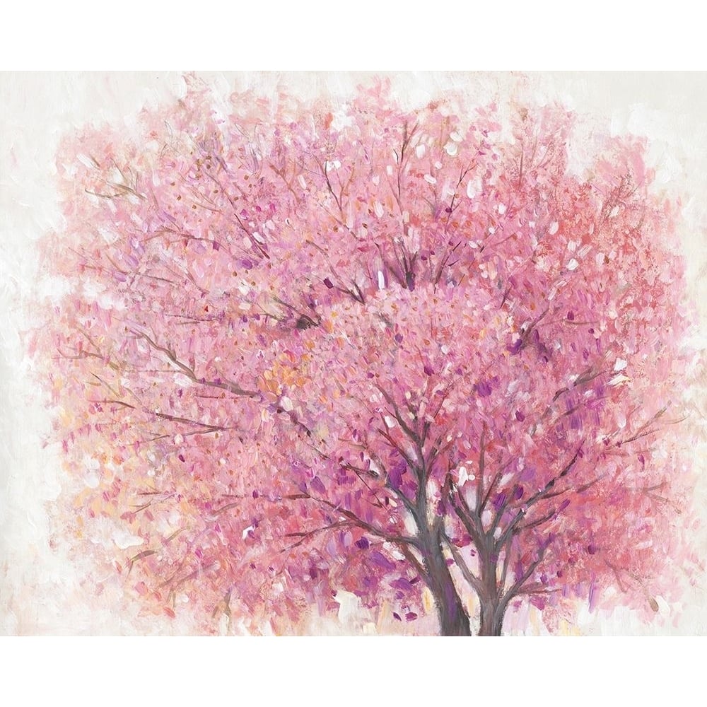 Pink Cherry Blossom Tree II Poster Print - Tim OToole-VARPDX138231GG Image 1