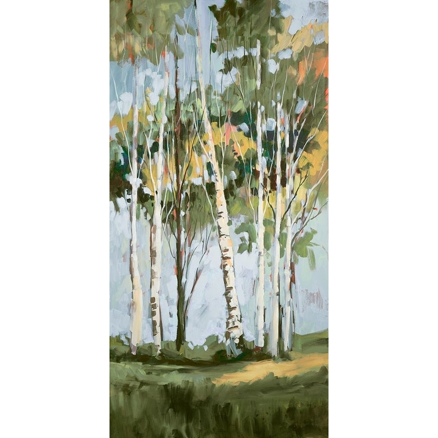 Golden Birch Trees II by Jane Slivka-VARPDX13824AD Image 1