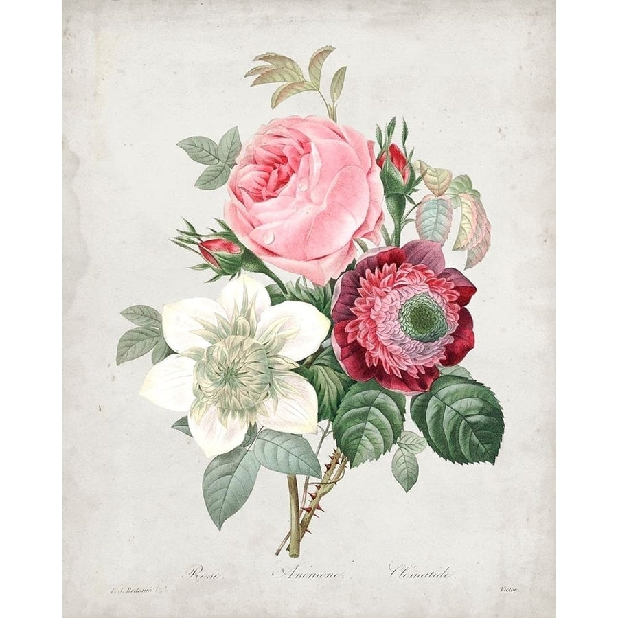 Redoute Bouquet IV Poster Print - Pierre Redoute-VARPDX138402Z Image 1