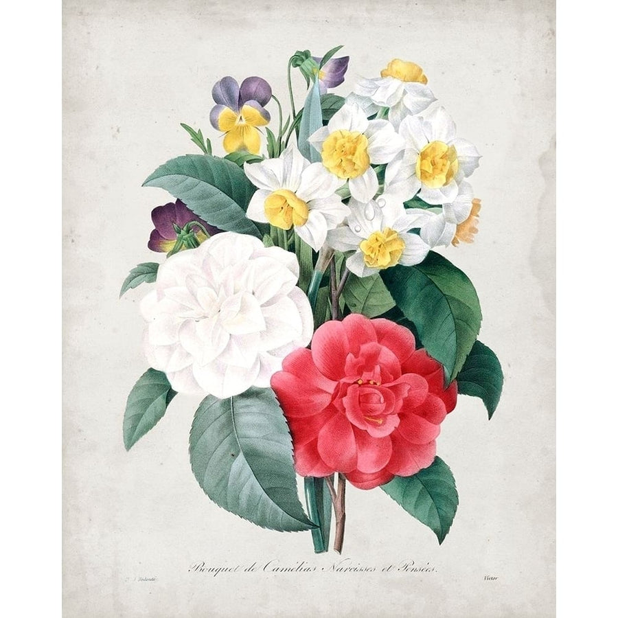 Redoute Bouquet III Poster Print - Pierre Redoute-VARPDX138401Z Image 1