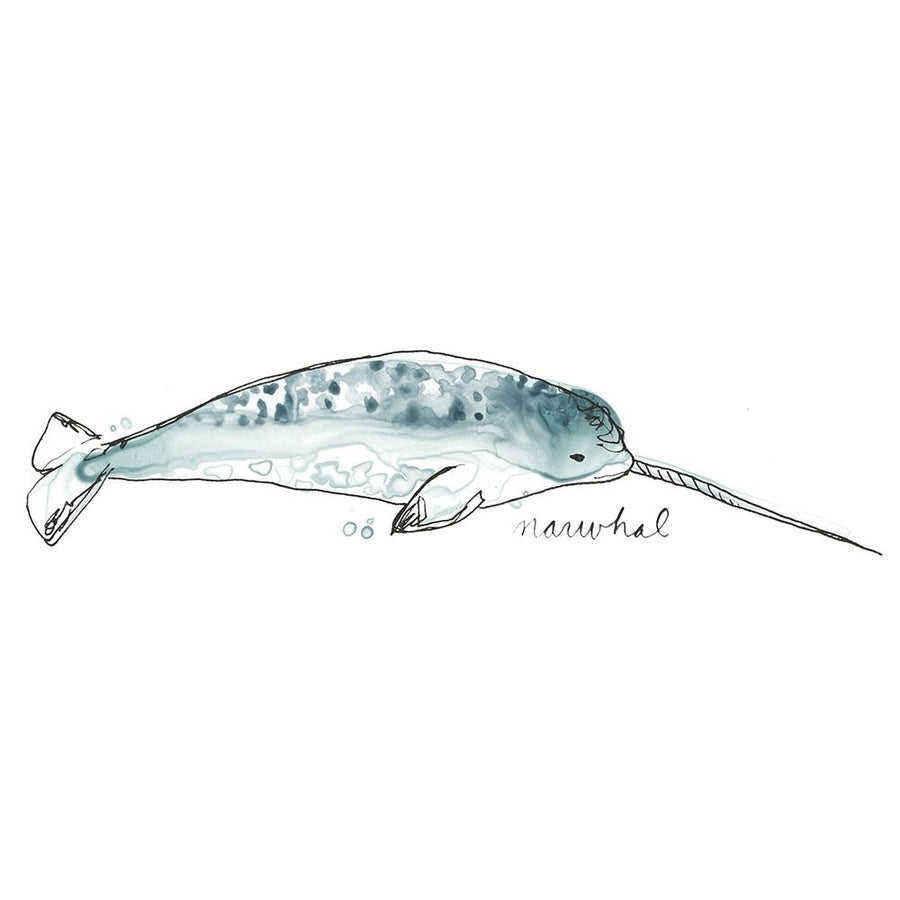 Cetacea Narwhal Poster Print - June Erica Vess-VARPDX138486Z Image 1