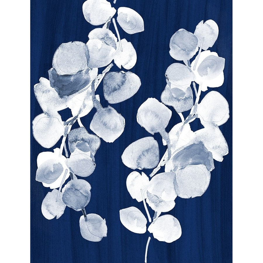 Eucalyptus Leaves on Navy Poster Print - Lanie Loreth-VARPDX13864NB Image 1