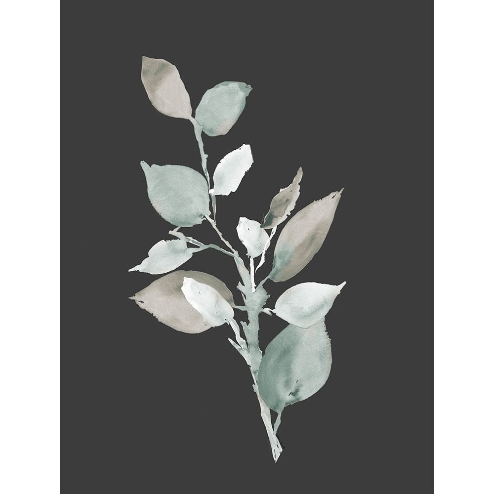 Eucalyptus Branch On Charcoal II Poster Print - Lanie Loreth-VARPDX13865CC Image 1