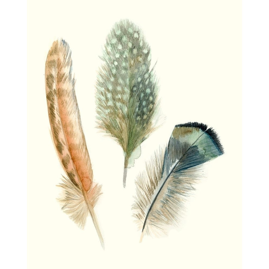 Watercolor Feathers I Poster Print - Megan Meagher-VARPDX138959Z Image 1