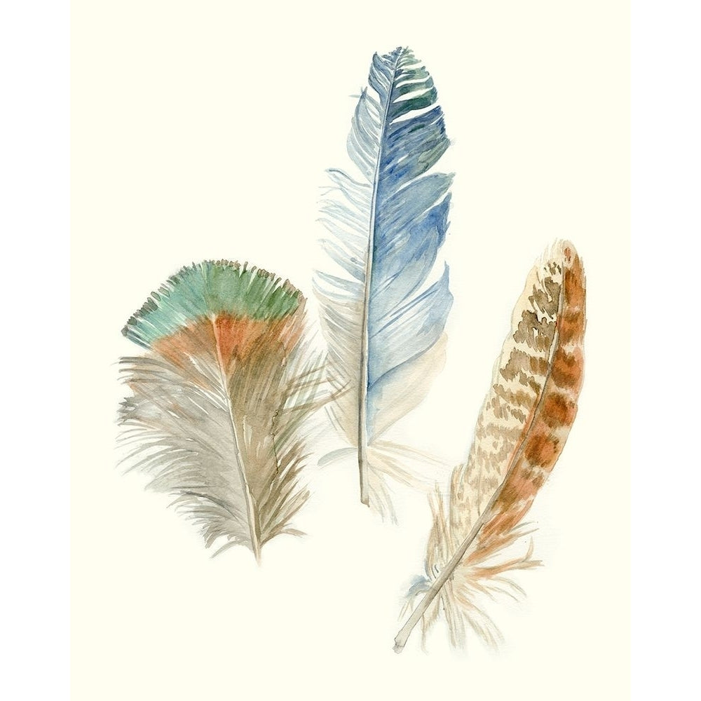 Watercolor Feathers III Poster Print - Megan Meagher-VARPDX138961Z Image 1