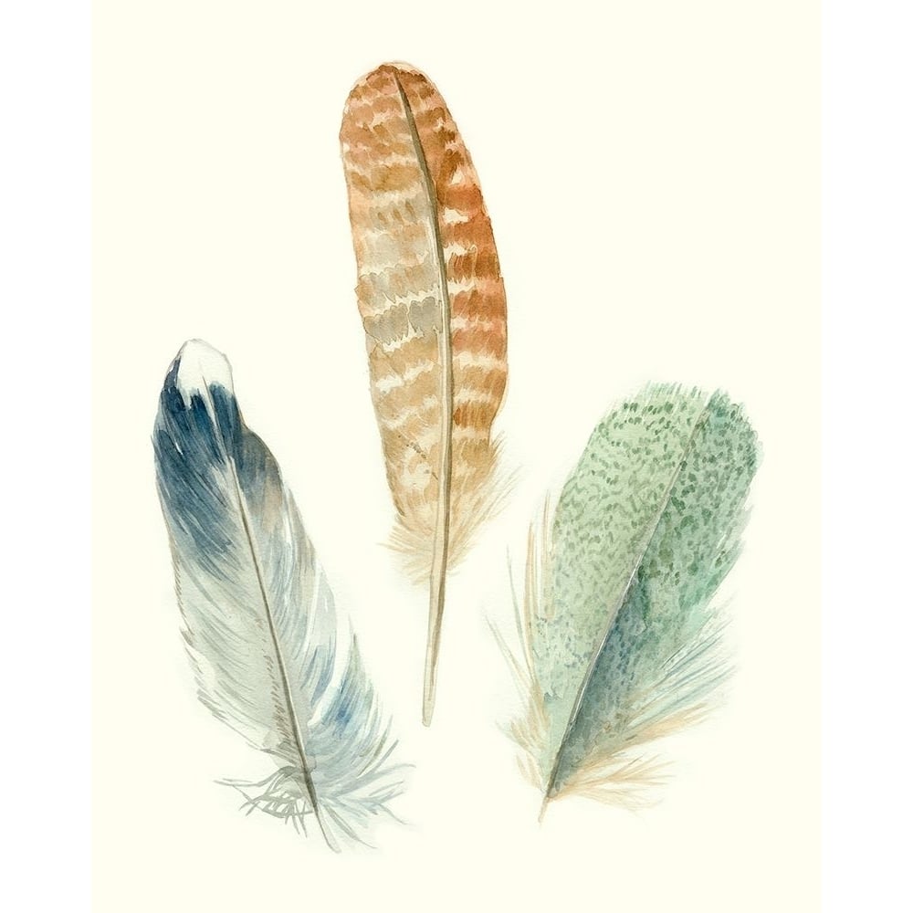 Watercolor Feathers IV Poster Print - Megan Meagher-VARPDX138962Z Image 1