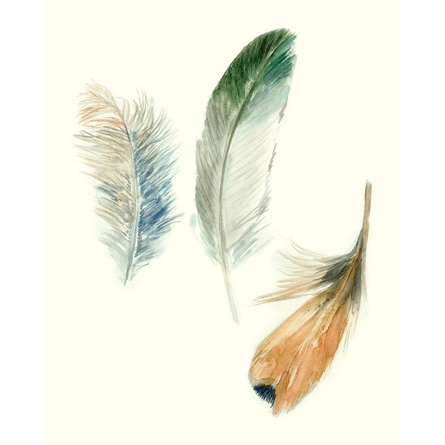 Watercolor Feathers II Poster Print - Megan Meagher-VARPDX138960Z Image 1