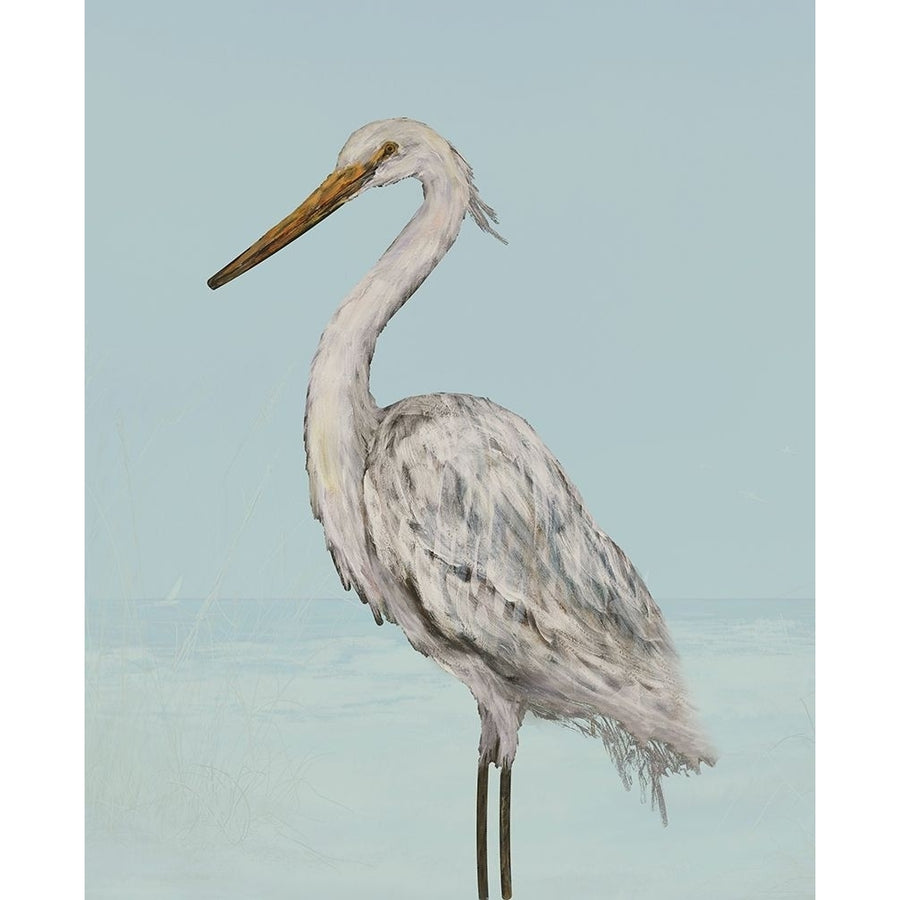 Coastal Heron II Poster Print by Julie DeRice-VARPDX13908JC Image 1