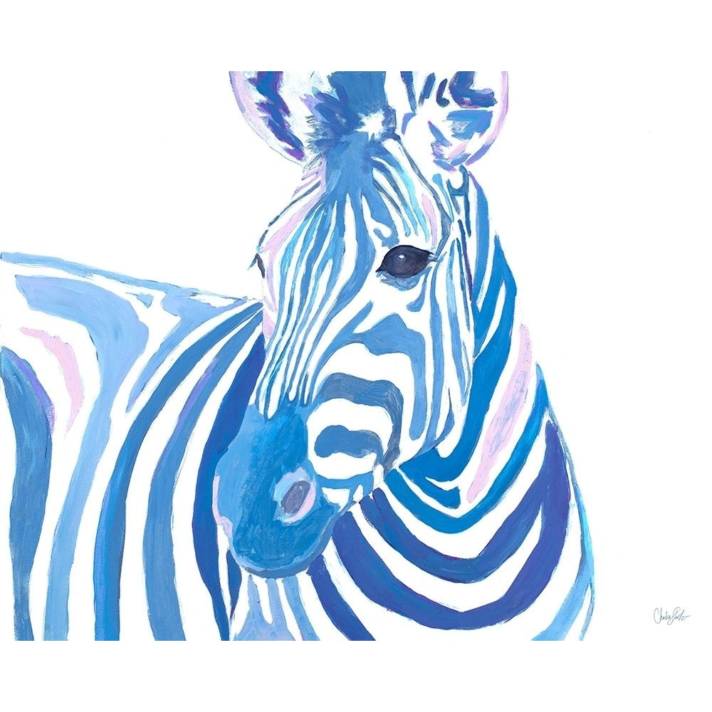 Vibrant Zebra Poster Print by Chelsea Goodrich-VARPDX13910F Image 1