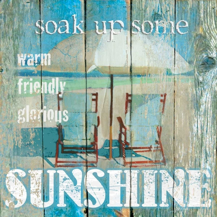 Sunshine Poster Print by Carol Robinson-VARPDX13945 Image 2