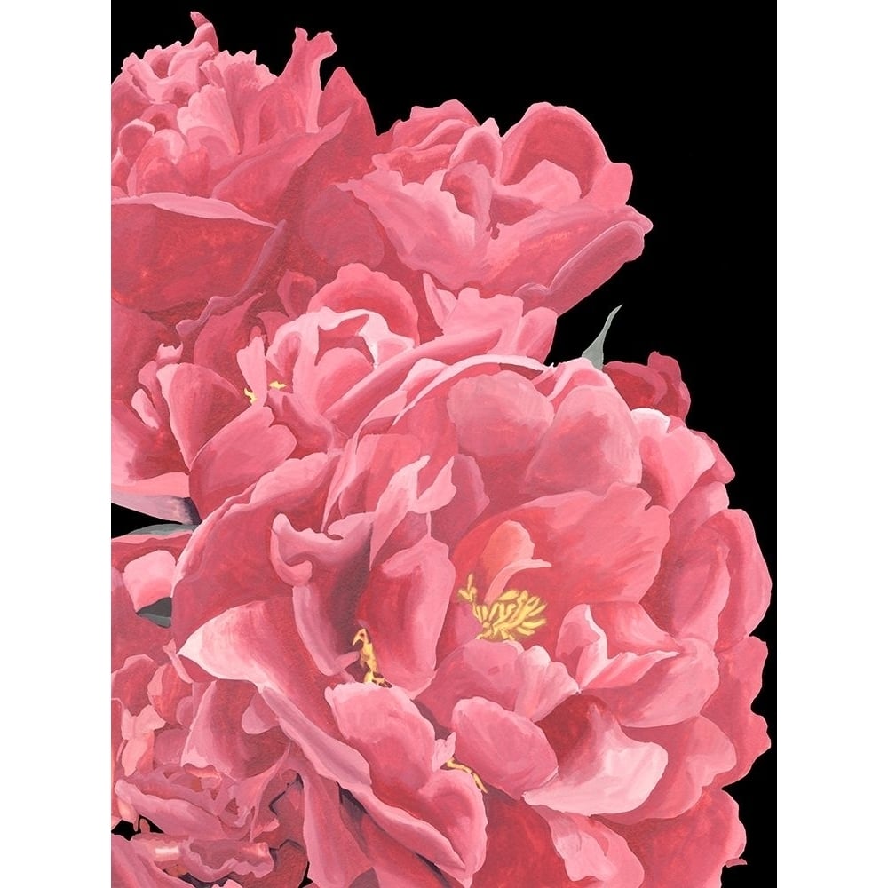 Peonies of My Heart I Poster Print - Melissa Wang-VARPDX139471Z Image 1