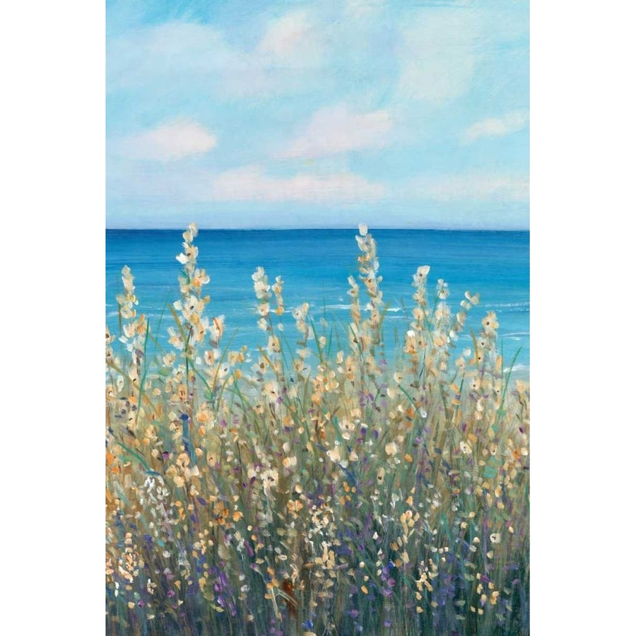 Flowers at the Coast I Poster Print - Tim OToole-VARPDX139459Z Image 1