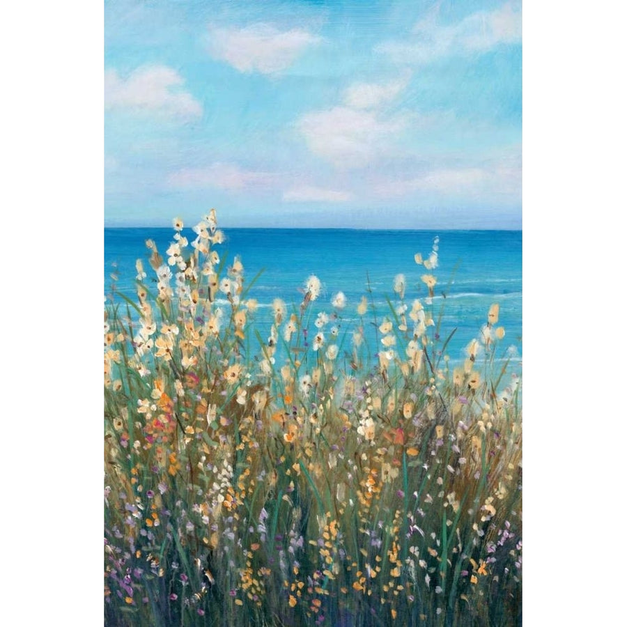 Flowers at the Coast II Poster Print - Tim OToole-VARPDX139460Z Image 1