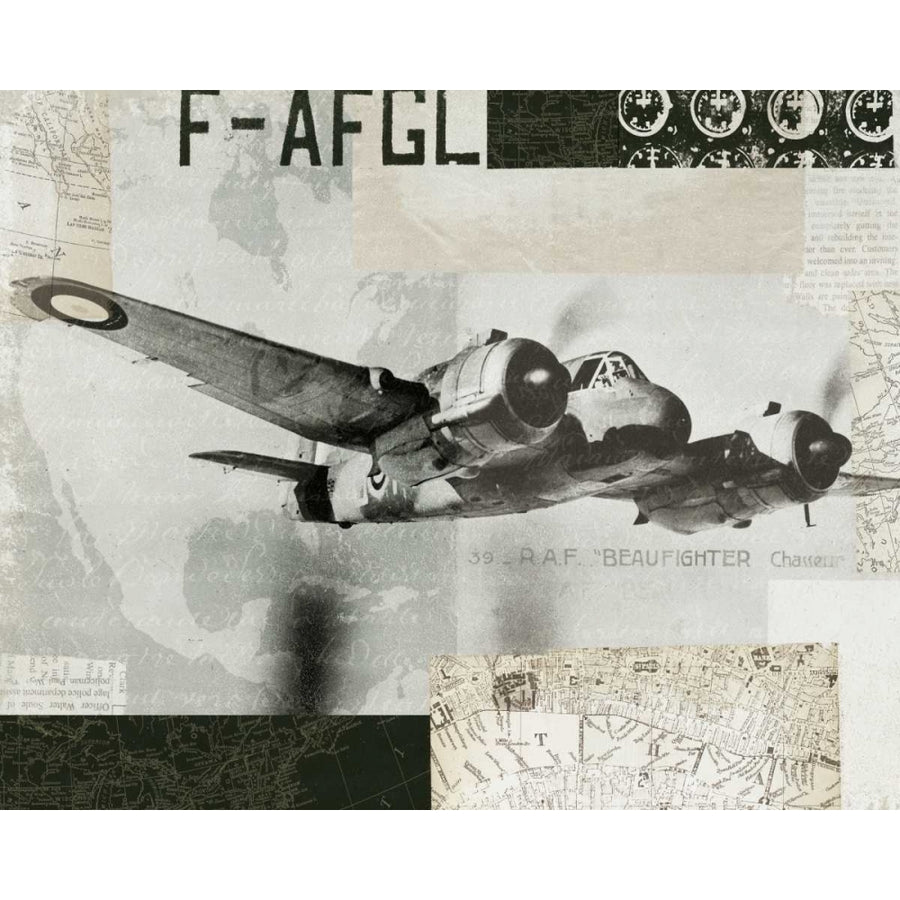 Wings Collage III Poster Print by Wild Apple Portfolio-VARPDX13949 Image 1