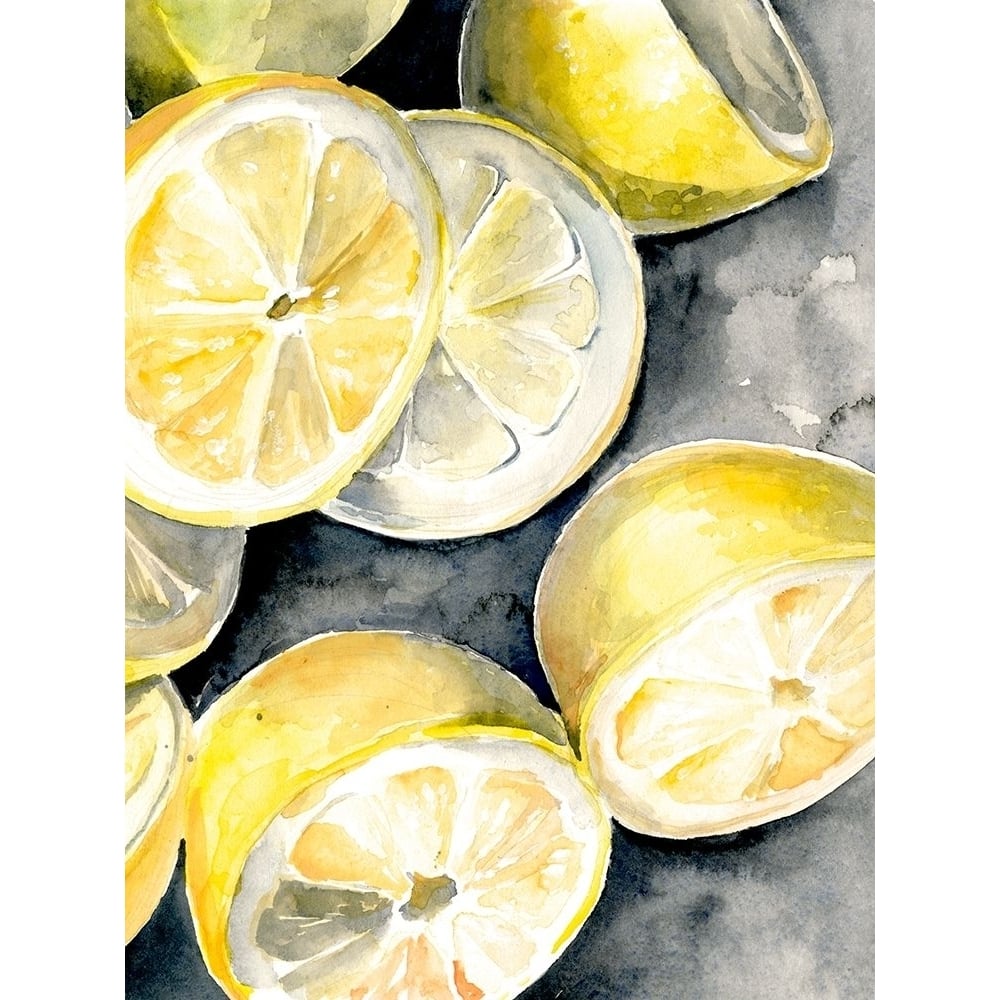 Lemon Slices I Poster Print - Jennifer Paxton Parker-VARPDX139547GG Image 1