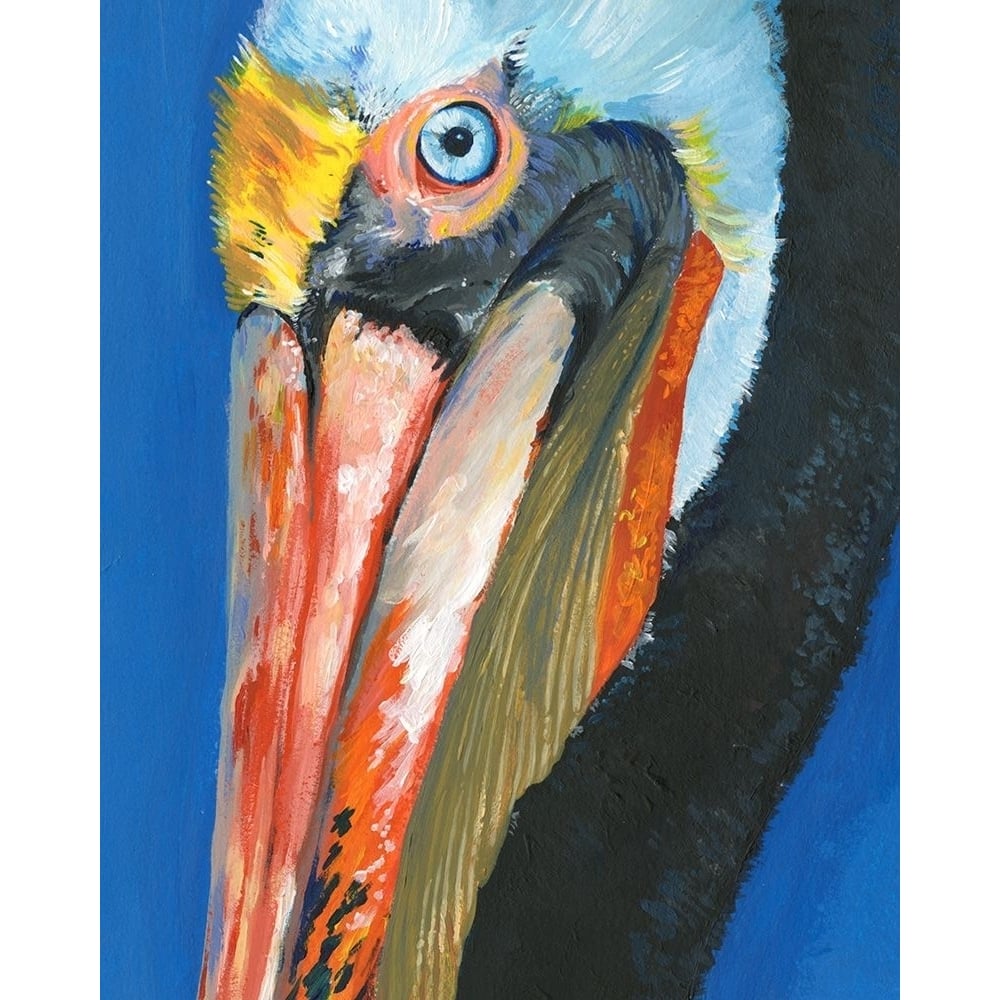 Vibrant Pelican I Poster Print - Jennifer Paxton Parker-VARPDX139753FN Image 1