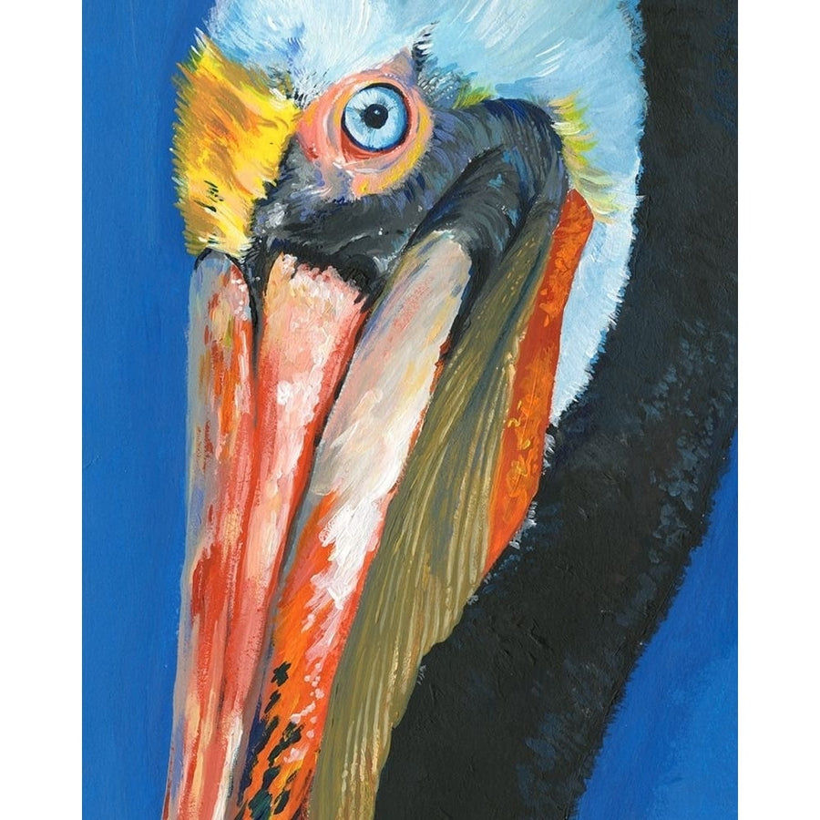 Vibrant Pelican I Poster Print - Jennifer Paxton Parker-VARPDX139753FN Image 1