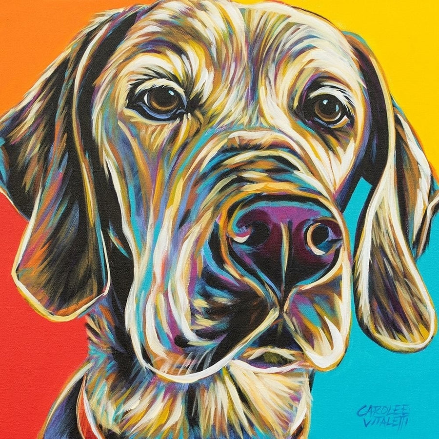 Canine Buddy II Poster Print - Carolee Vitaletti-VARPDX139927D Image 1