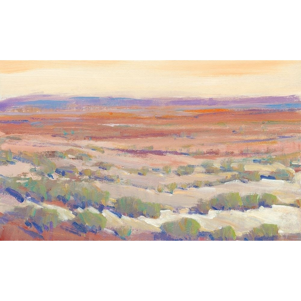 High Desert Pastels II Poster Print - Tim OToole-VARPDX139971GG Image 1