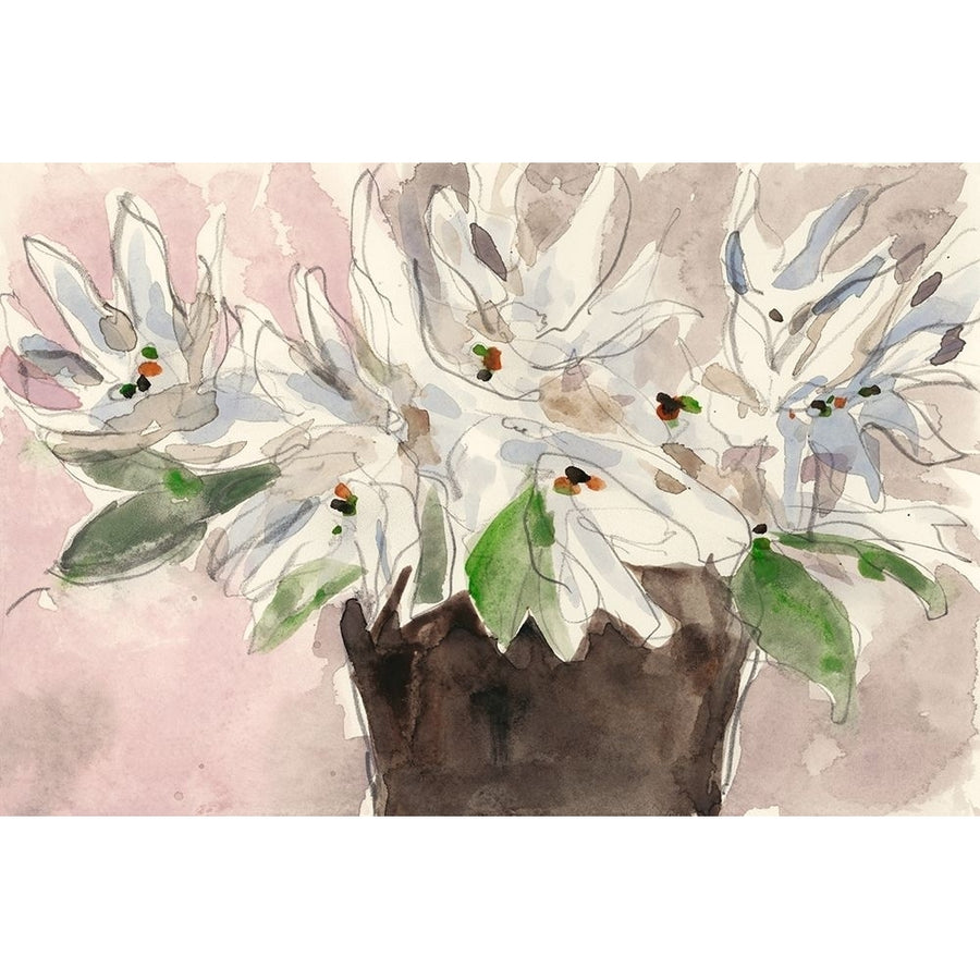 Magnolia Watercolor Study I Poster Print - Samuel Dixon-VARPDX139979GG Image 1