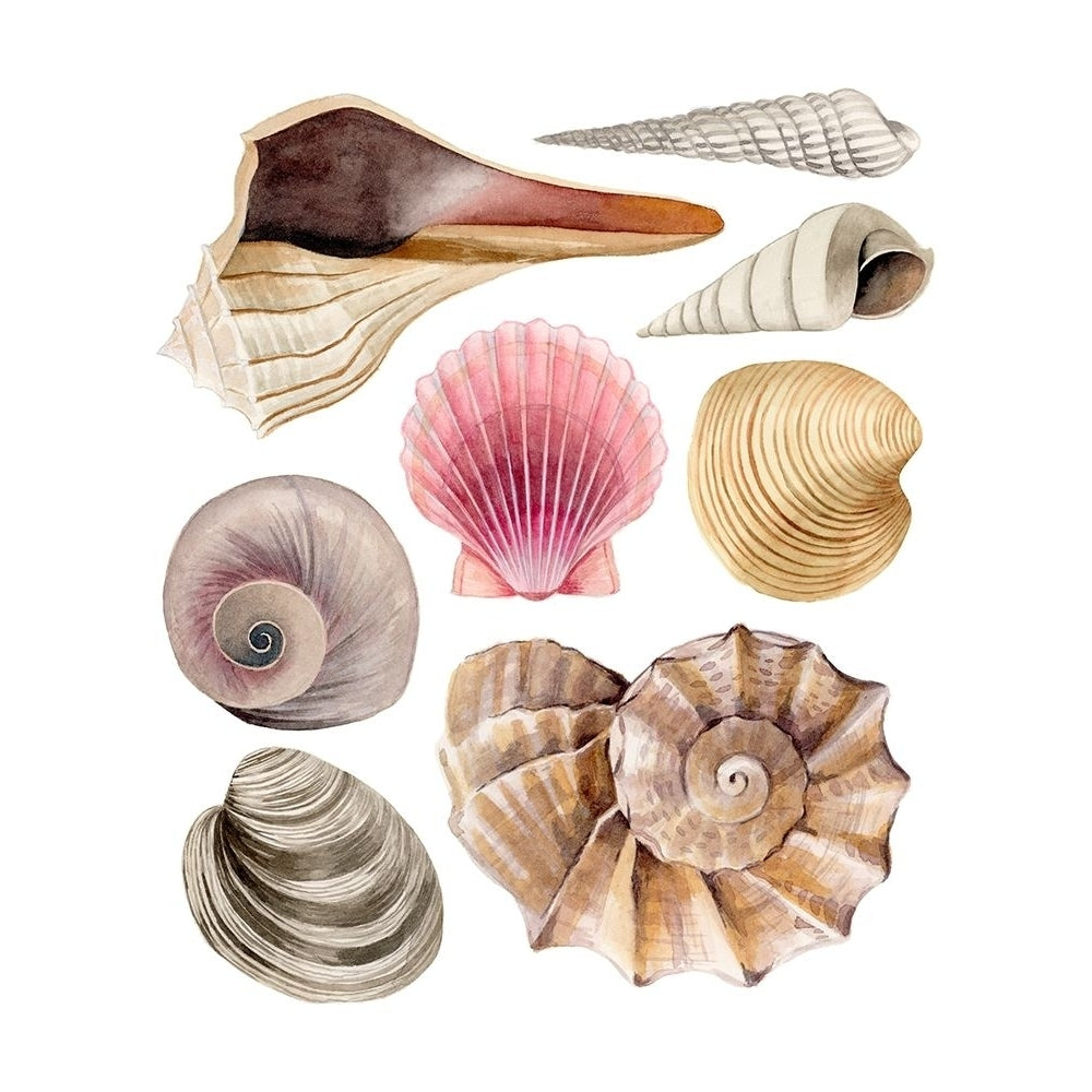 Sea Souvenirs I Poster Print - Grace Popp-VARPDX140057Z Image 1