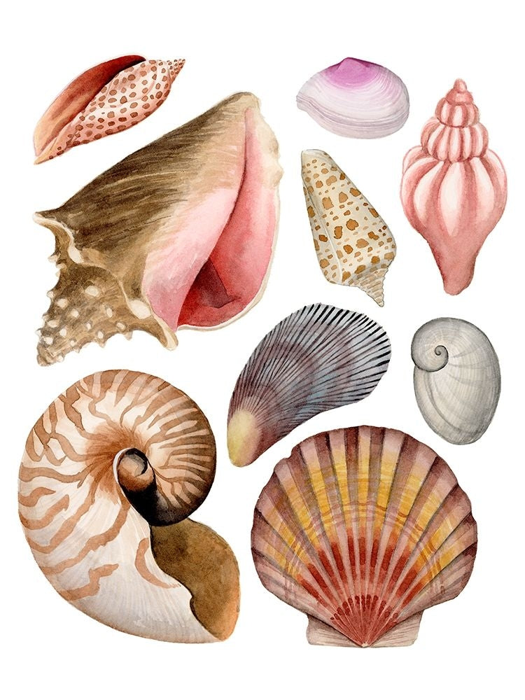 Sea Souvenirs II Poster Print - Grace Popp-VARPDX140058Z Image 1