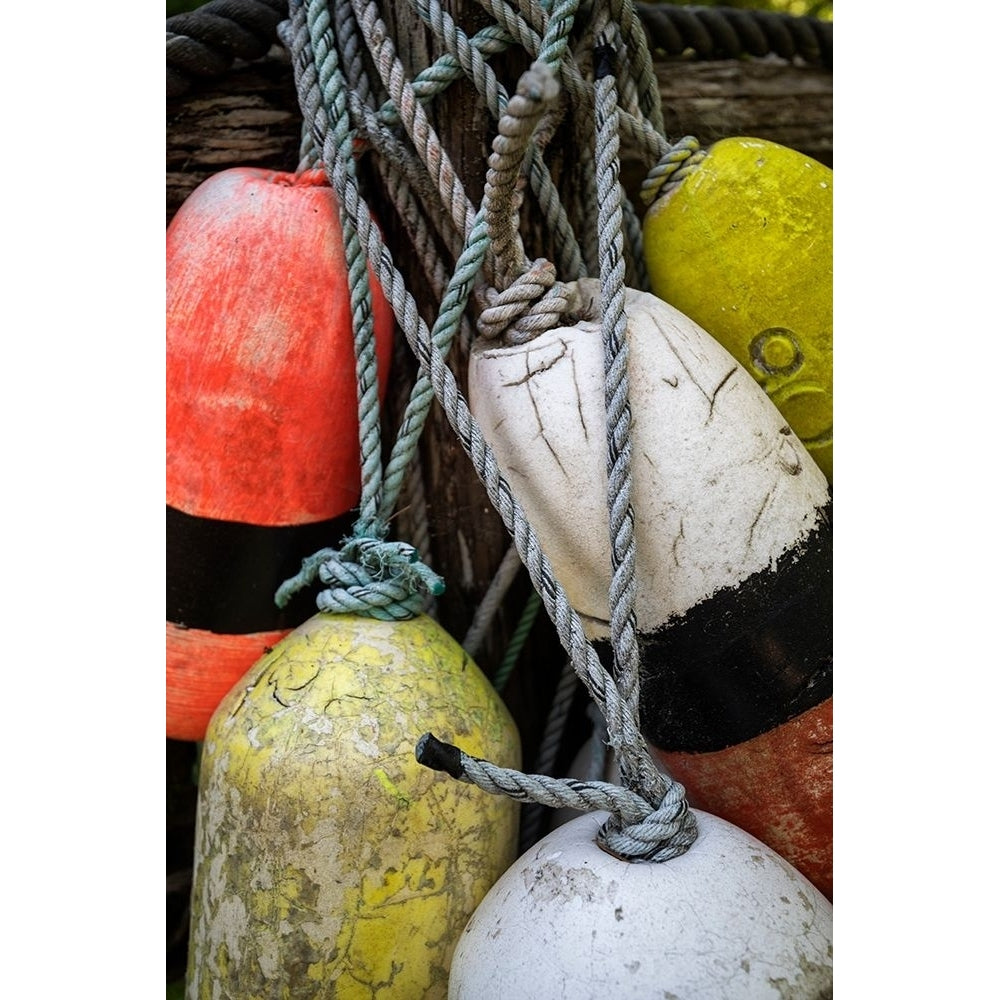 Boat Bumpers I Poster Print by Andy Amos-VARPDX14022D Image 1