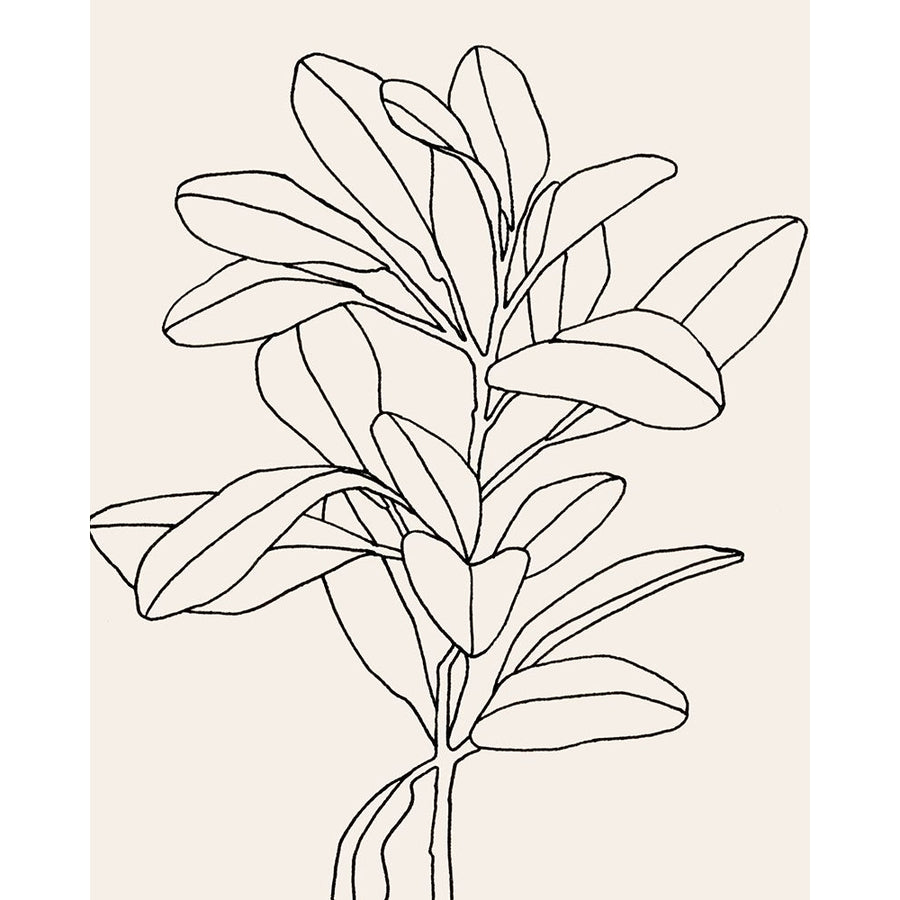 Olive Branch Contour II Poster Print - Emma Scarvey-VARPDX140391GG Image 1