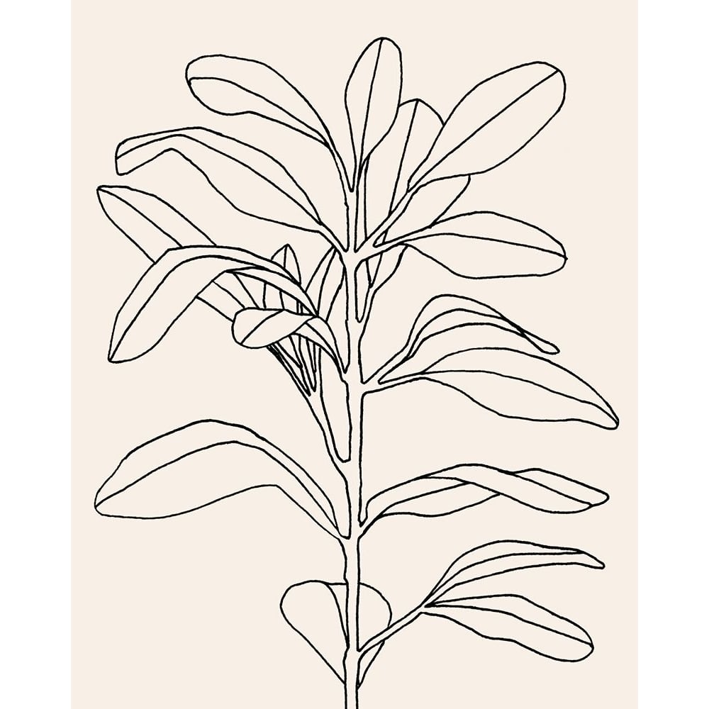 Olive Branch Contour I Poster Print - Emma Scarvey-VARPDX140390Z Image 1