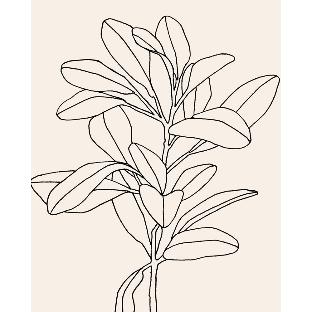 Olive Branch Contour II Poster Print - Emma Scarvey-VARPDX140391Z Image 1