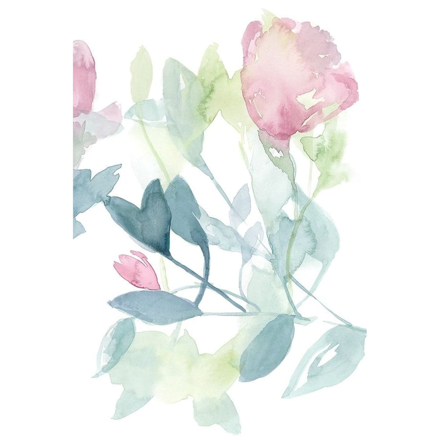 Peony in Light II Poster Print - Jennifer Goldberger-VARPDX140424FN Image 1